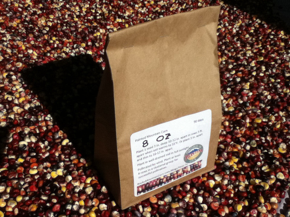 Buy 0.5 lb Painted Mountain Corn seed from the Rocky Mountain Corn family - premium hand-cultivated seed - non GMO, heirloom, open pollinated, organic, GMO-free